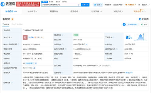 廣東順豐電子商務公司完成大幅增資，注冊資本躍升至4億元，發力國內貿易代理業務